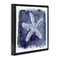 Stupell Industries Starfish Blue Impression Framed Floater Canvas Wall Art Design by Patti Bishop
